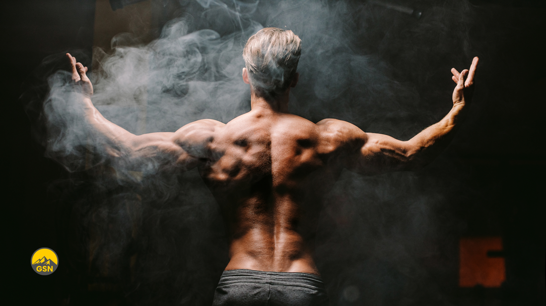 Push, Pull, Beine - Der ideale 3er Split für deinen Muskelaufbau