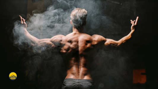 Push, Pull, Beine - Der ideale 3er Split für deinen Muskelaufbau